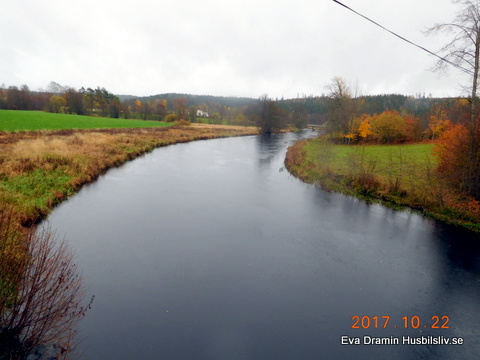 Trevlig familjeträff